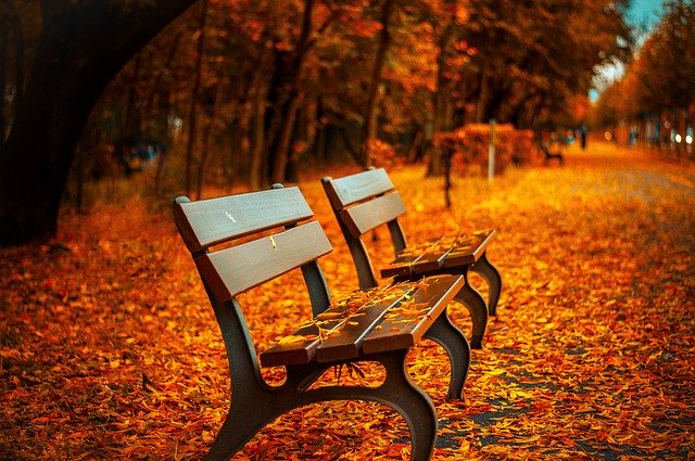 listí na lavičkách