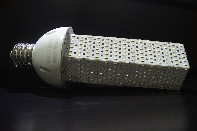 LED diodová žárovka.jpg
